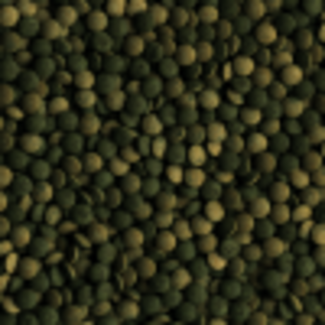 טטרה פלקומין 275 יח' - Tetra Pleco Tablets 275 Tb