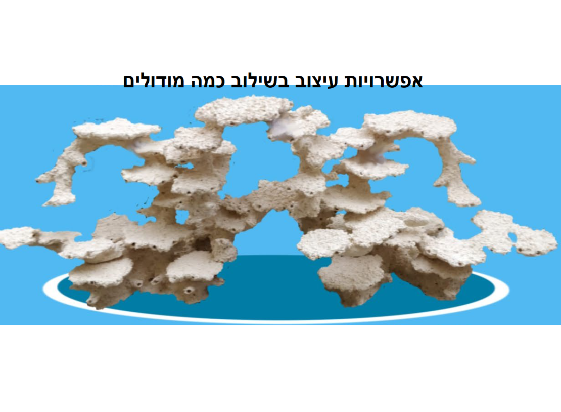 מסלעה קרמית אקווה קרמיק צורת שער - Aqua Ceramic Aquascape Gate