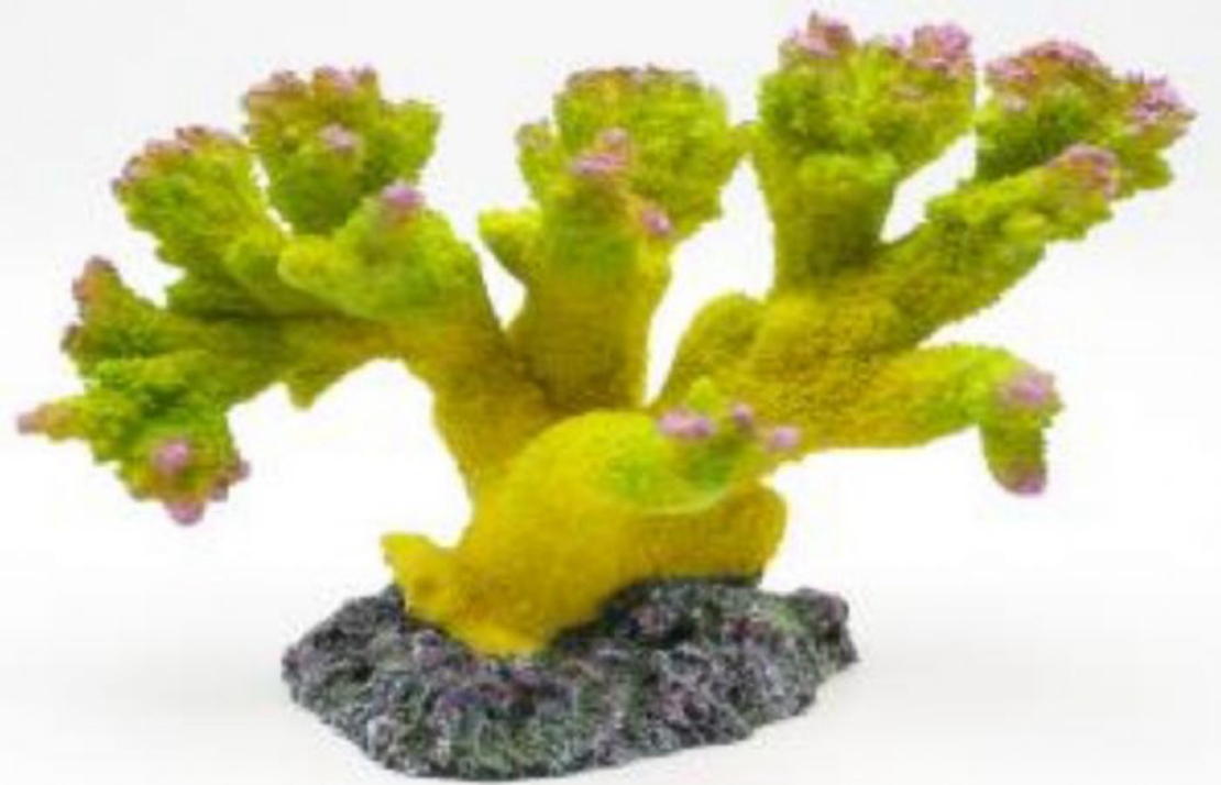 דקורציה אלמוג דגם SH 442 G מלוחים ומתוקים - Coral decoration model SH 442 G for salt and fresh water