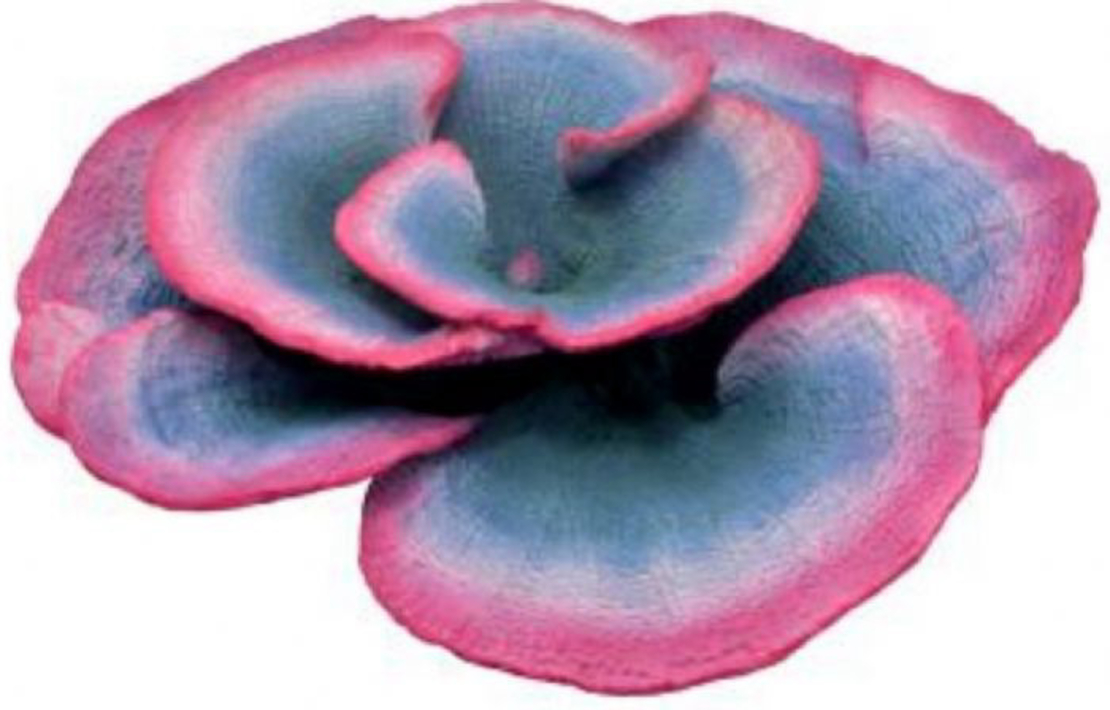 דקורציה אלמוג דגם HCL 198 למים מלוחים ומתוקים - Coral decoration model HCL 198 for salt and fresh water