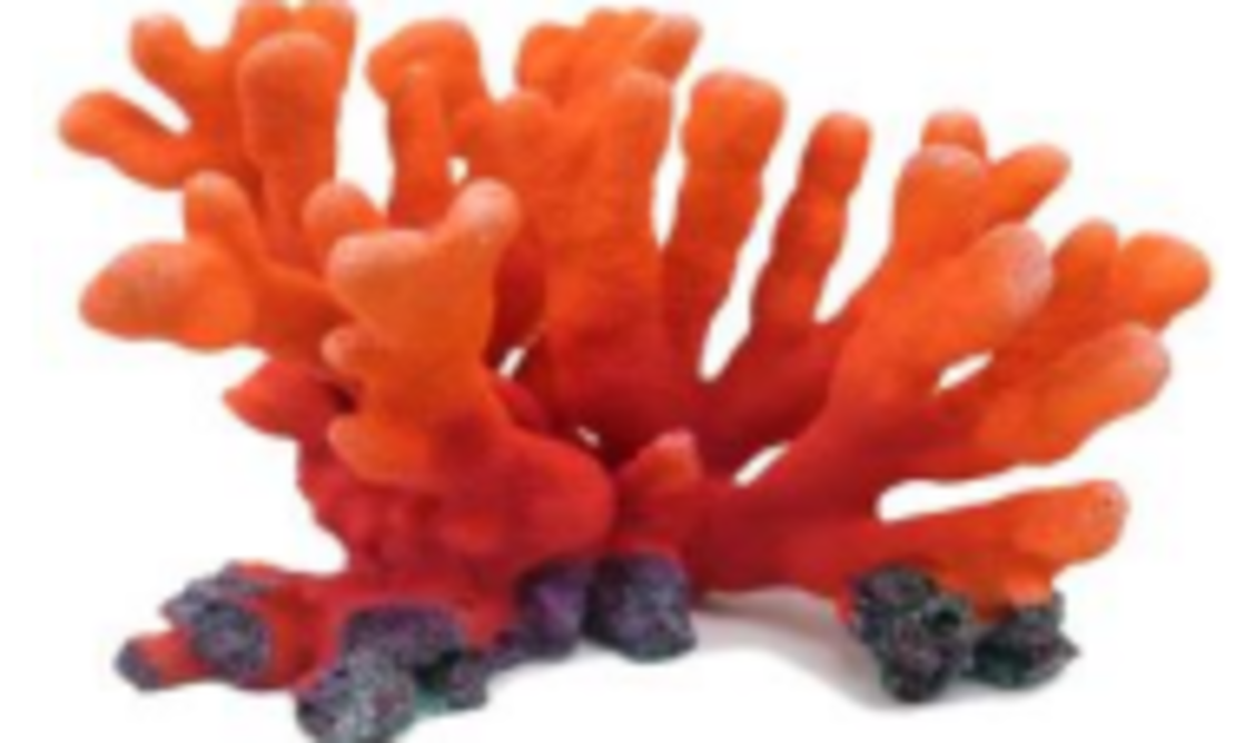 דקורציה אלמוג דגם SH 325 O למים מלוחים ומתוקים - Coral decoration model SH 325 O for salt and fresh water