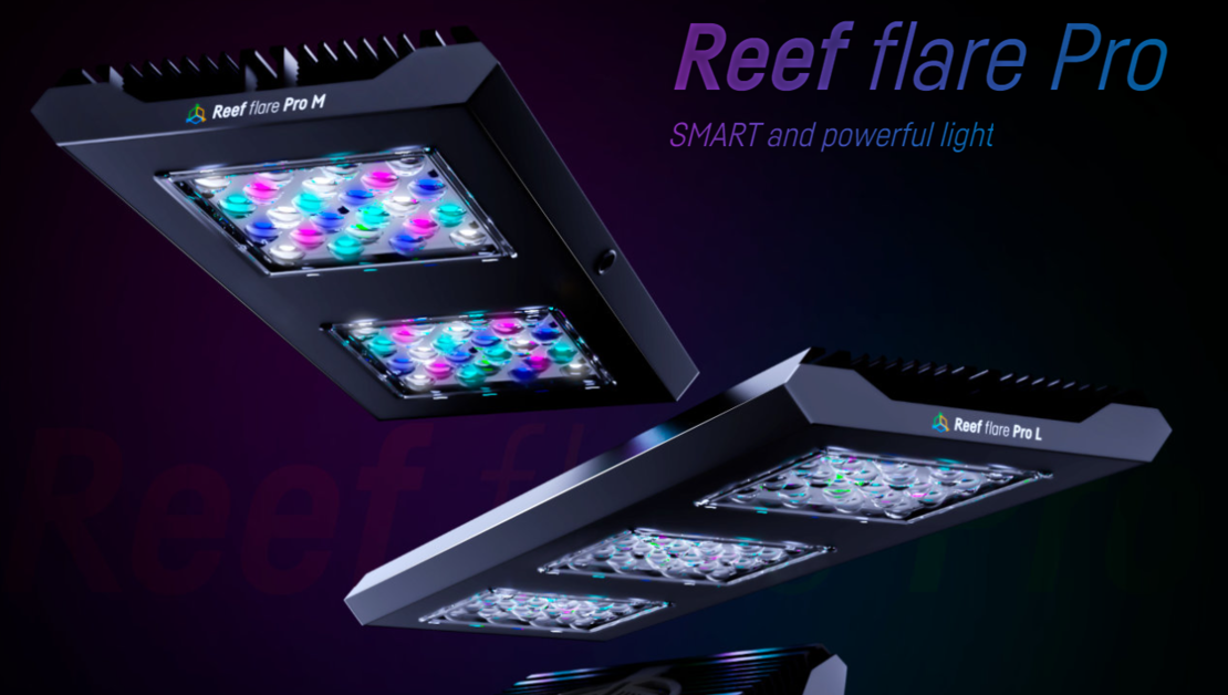 תאורת לד ריף פלייר פרו 80W ריף פקטורי צבע לבן - REEF FACTORY Reef flare Pro S White