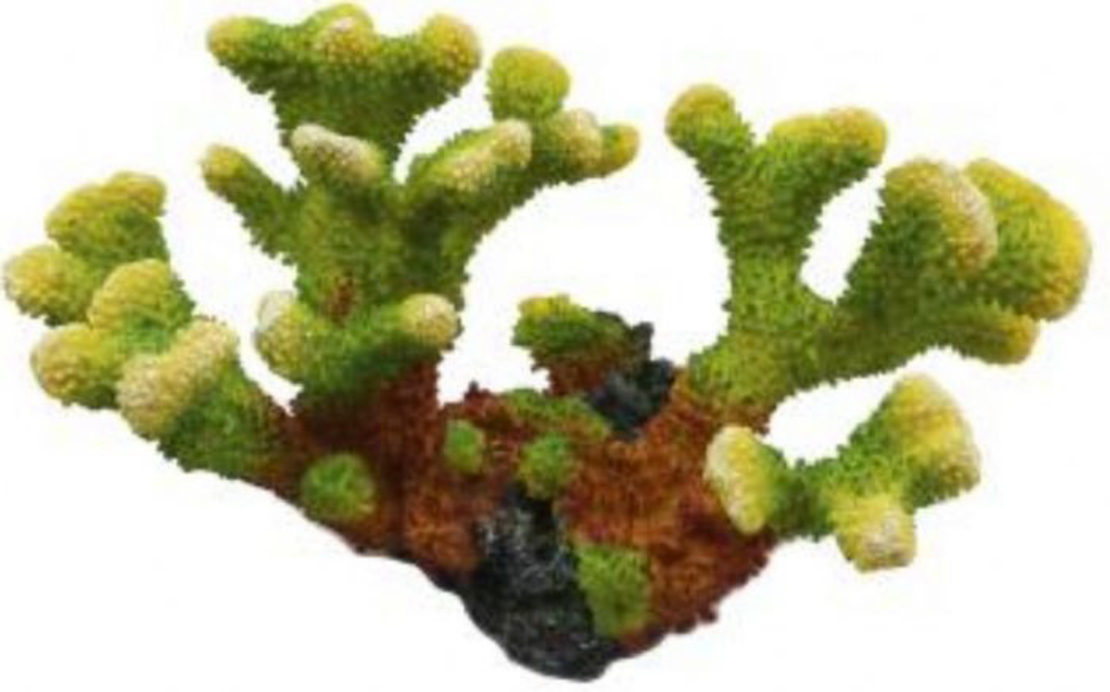 דקורציה אלמוג דגם SH 320 למים מלוחים ומתוקים - Coral decoration model SH 320 for salt and fresh water
