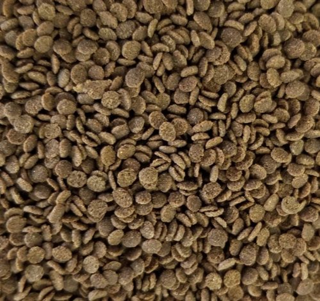 מזון לדגים באג פרו נורת' פין 250 גרם 2 מ