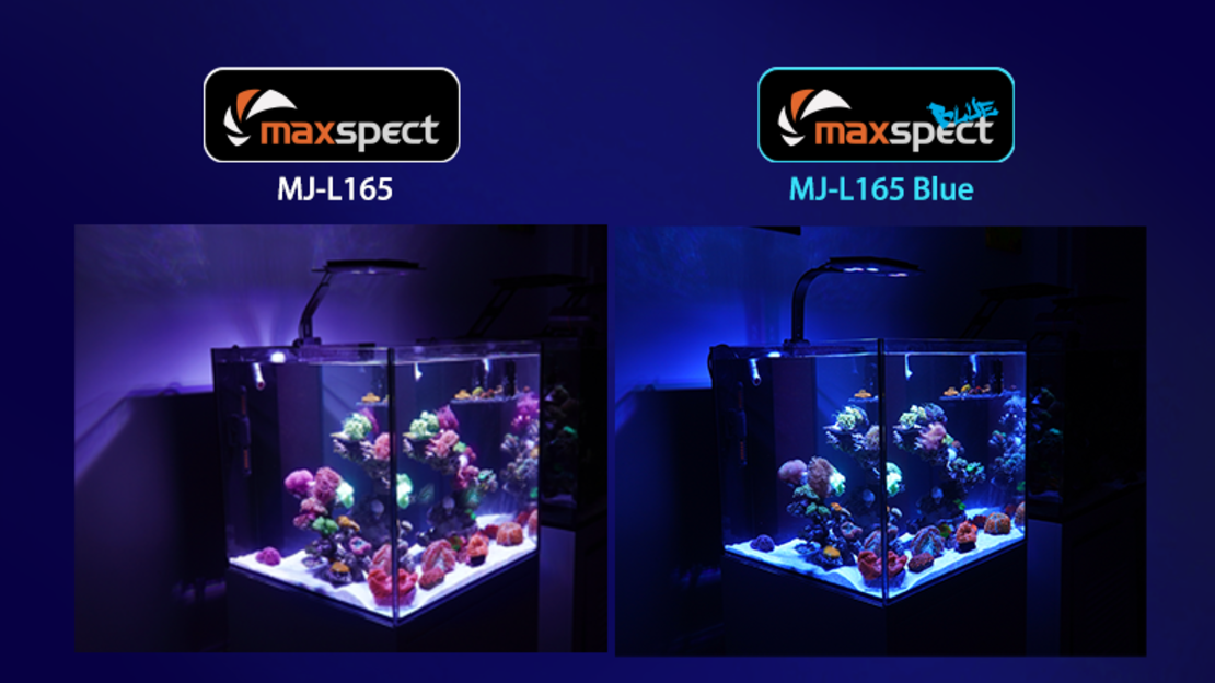תאורת לד MJ L165 מקספקט - Maxspect LED MJ L165