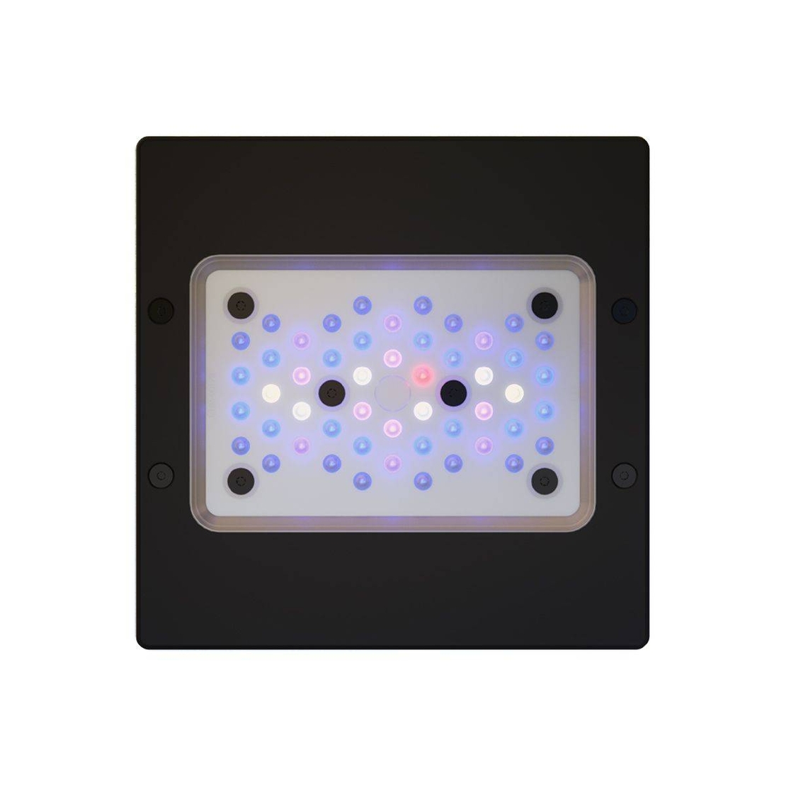 תאורת לד רדיון XR15 G6 BLUE 95W אקוטק מרין - ECOTECH MARINE Radion XR15 G6 BLUE Led lighting