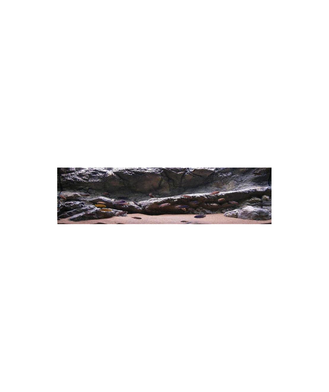 רקע תלת מימד סלעי דגם פפואה 98X48 אקווריסטיק Aquarium Rocky 3D background Model Papua