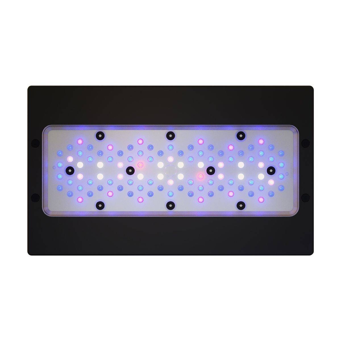 תאורת לד רדיון XR30 G6 BLUE 215W אקוטק מרין - ECOTECH MARINE Radion XR30 G6 BLUE Led lighting