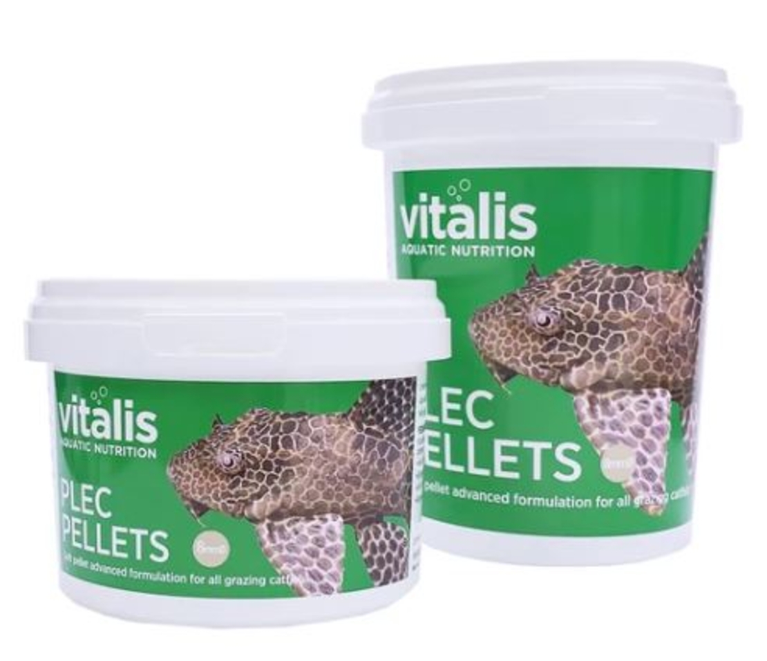 מזון לפלקו ויטליס פלקו פלטס 300 גרם Vitalis PLEC pellets
