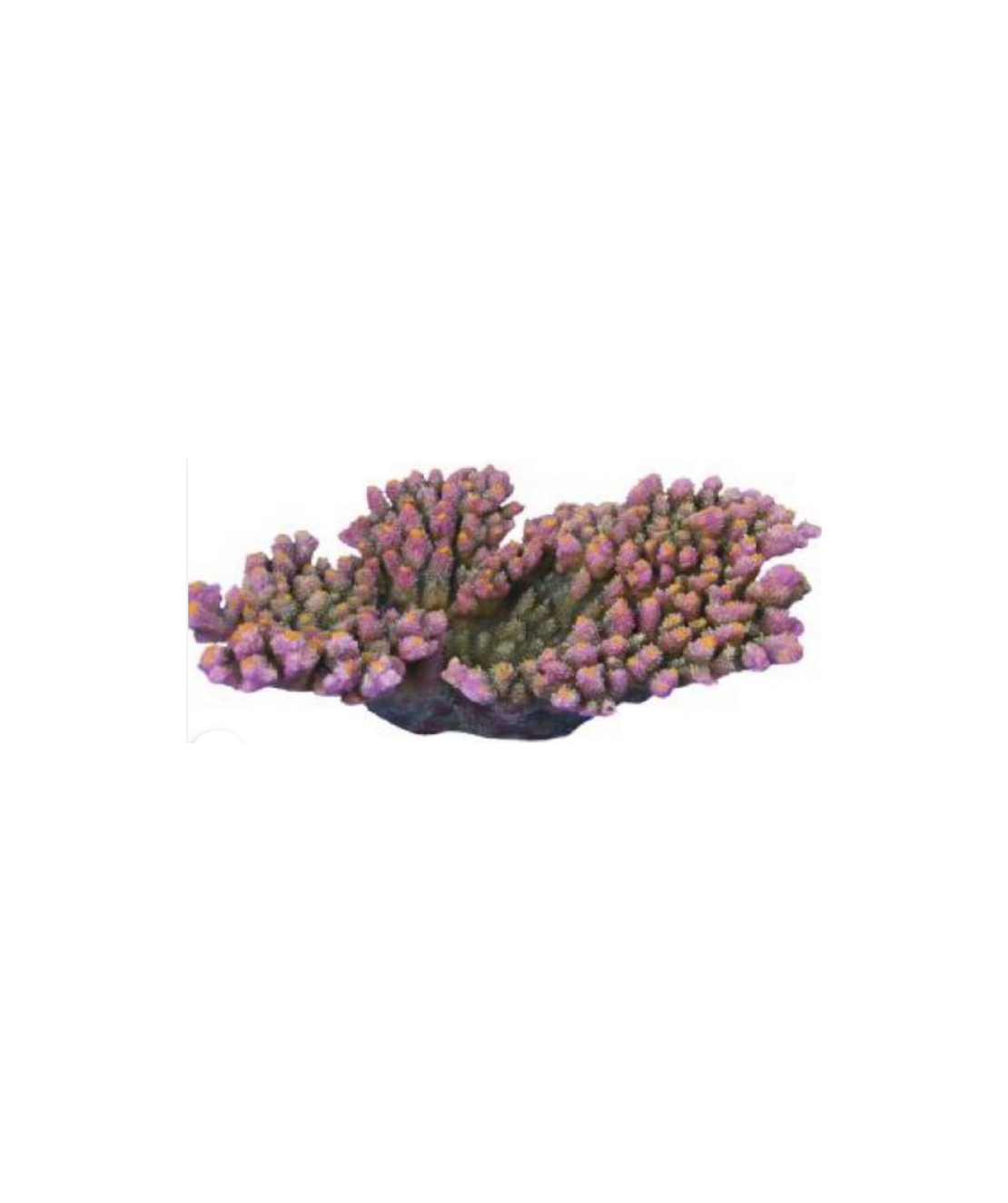 דקורציה אלמוג דגם AC 2163 למים מלוחים ומתוקים - Coral decoration model AC 2163 for salt and fresh water