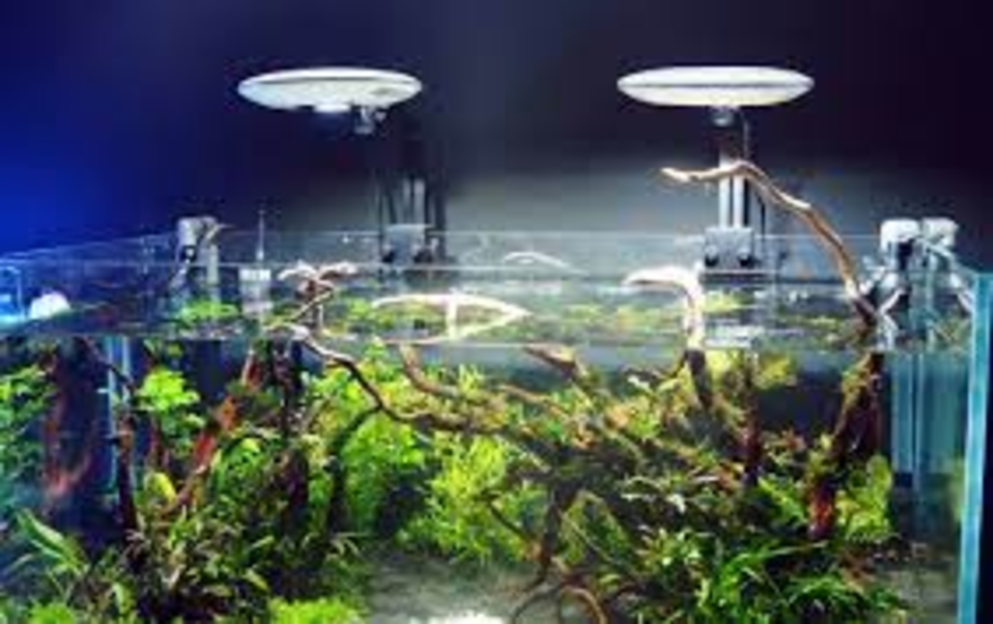 גוף תאורה זטלייט UFO 50W/90W לאקווריום צמחיה- Zetlight UFO Plants Aquarium 55W/90W Light