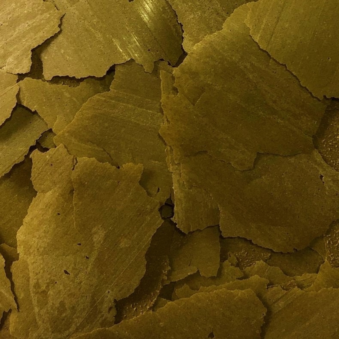 מזון דגים דפים קלפ פלייקס נורת' פין 65 גרם - Northfin Kelp Flakes 65G