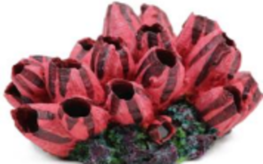 דקורציה אלמוג דגם SH 116 למים מלוחים ומתוקים - Coral decoration model SH 116 for salt and fresh water