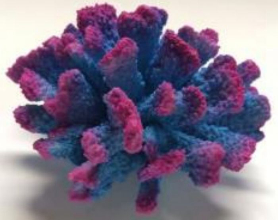דקורציה אלמוג דגם IS 001 למים מלוחים ומתוקים - Coral decoration model IS 001 for salt and fresh water