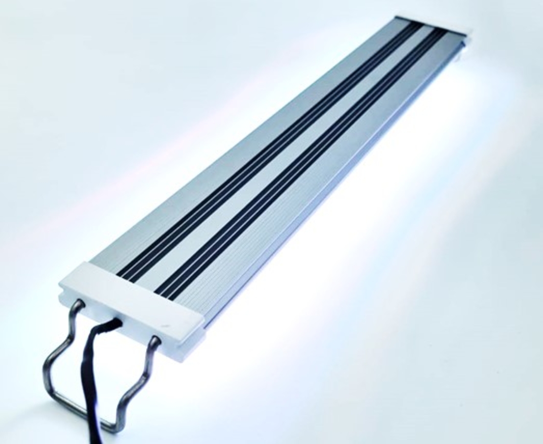תאורת לד RGB למים מתוקים ומלוחים אקס לד 50 ס