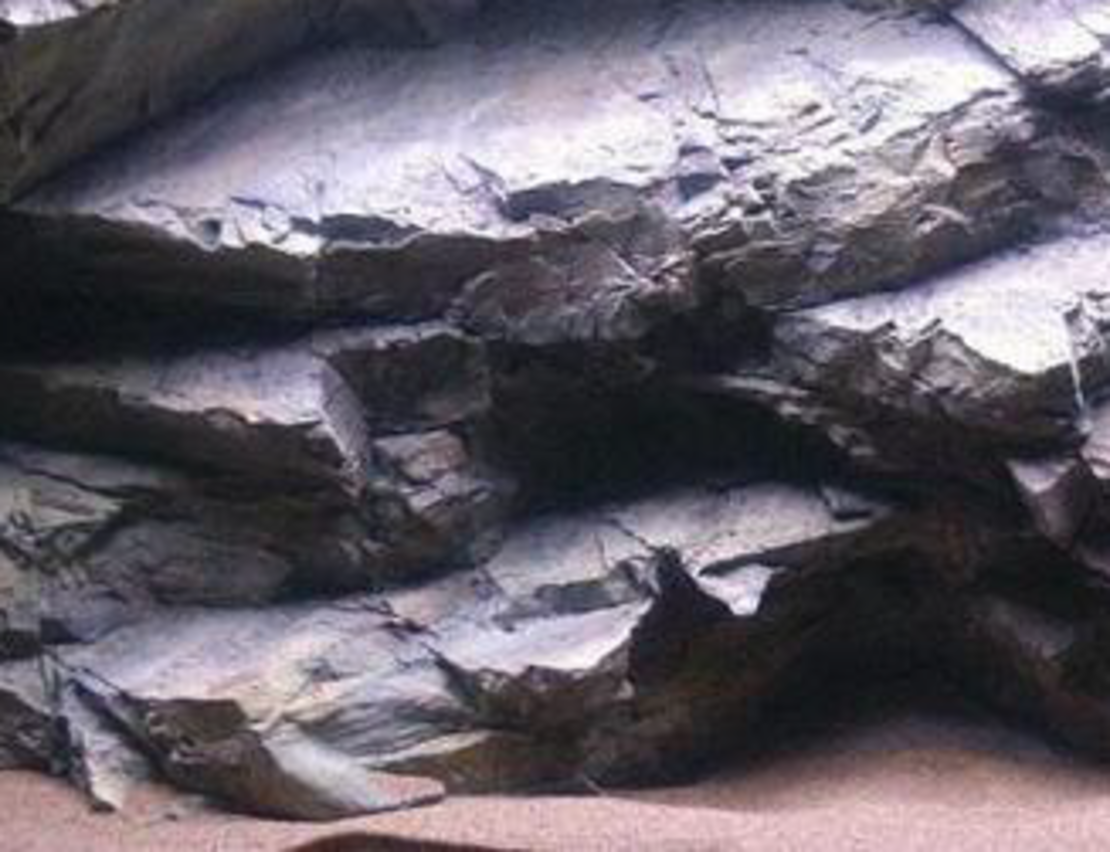 רקע תלת מימד סלעי דגם סומטרה 148X58 אקווריסטיק Aquarium Rocky 3D background Model Sumatra