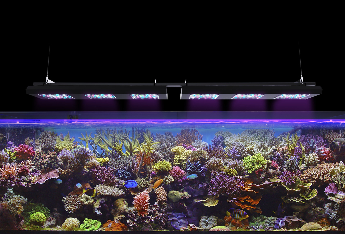 תאורת לד ריף פלייר פרו 80W ריף פקטורי צבע לבן - REEF FACTORY Reef flare Pro S White