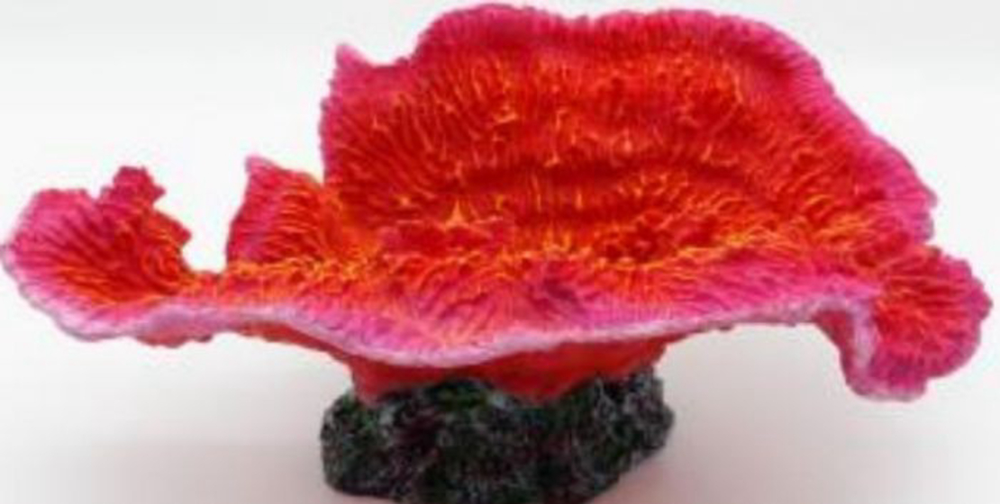 דקורציה אלמוג דגם SH 445 O  למים מלוחים ומתוקים - Coral decoration model SH 445O P for salt and fresh water