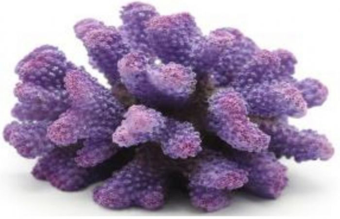 דקורציה אלמוג דגם SH 439 P מלוחים ומתוקים - Coral decoration model SH 439 P for salt and fresh water
