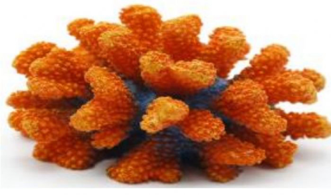 דקורציה אלמוג דגם SH 438 O למים מלוחים ומתוקים - Coral decoration model SH 438 O for salt and fresh water