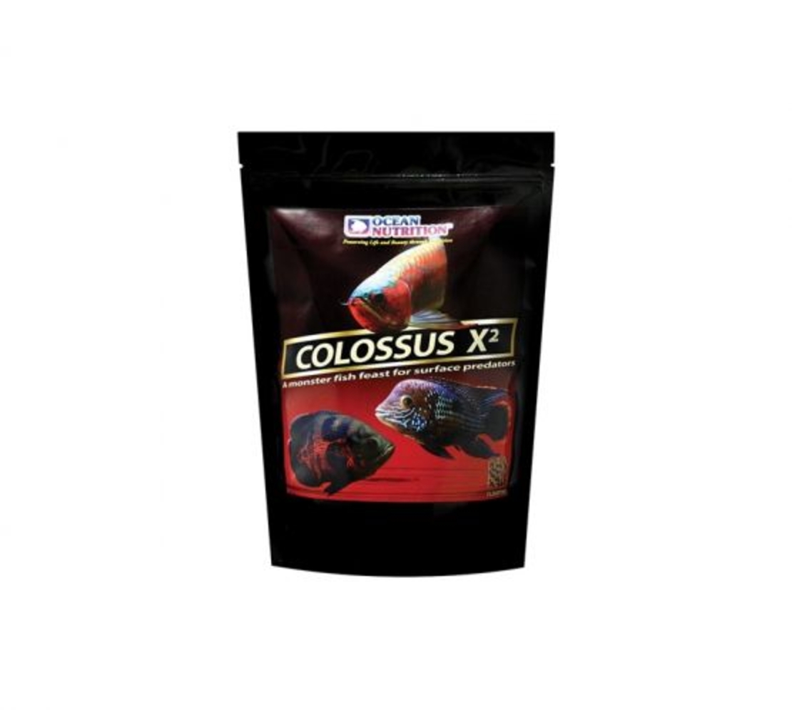 מזון גרגרים צף לדגי ענק אושן נוטרישן 500 גרם - Ocean Nutrition COLOSSUS Q2 Giant fish Floating food 500g
