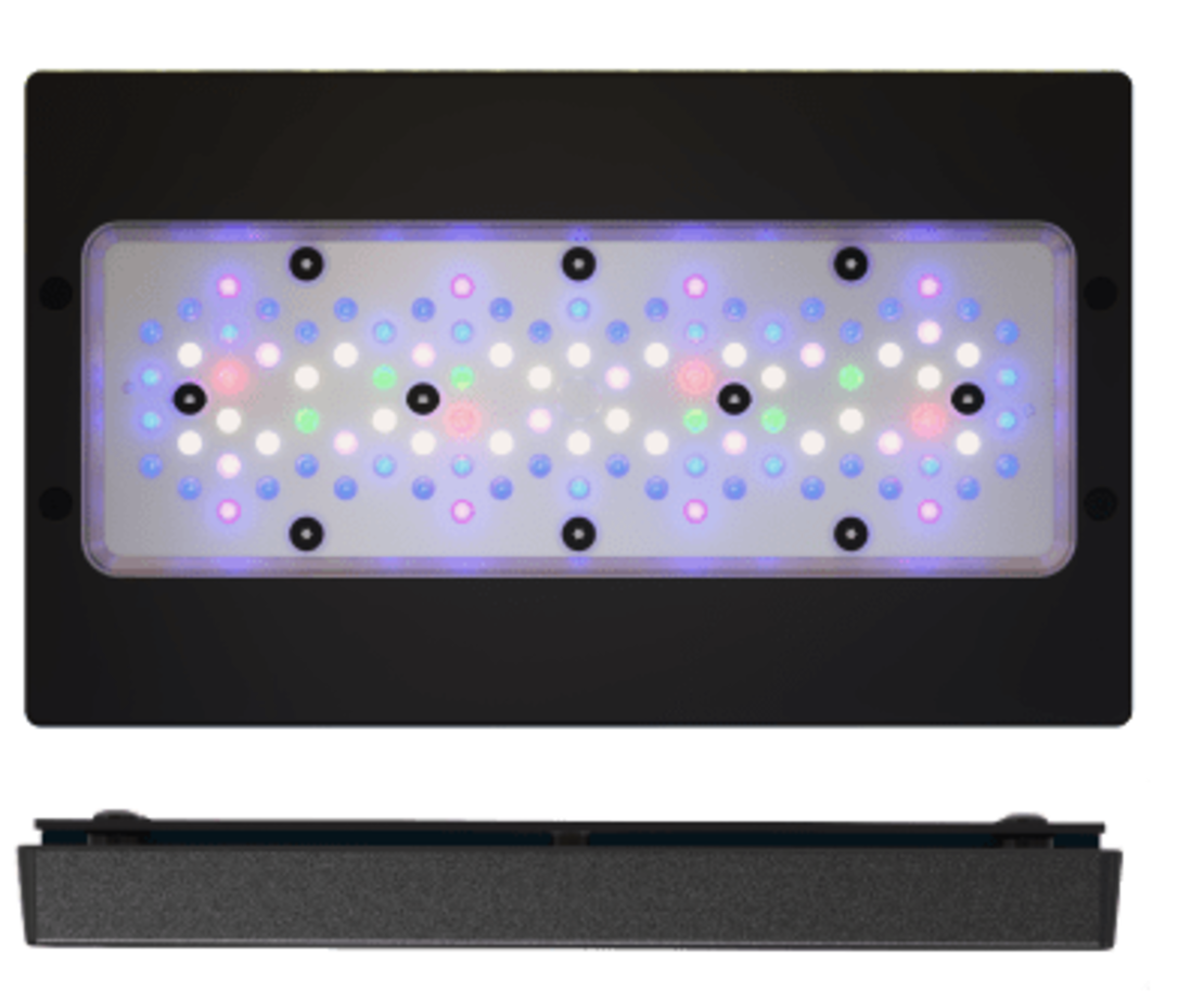 תאורת לד רדיון XR30 G6 PRO 215W אקוטק מרין - ECOTECH MARINE Radion XR30 G6 PRO Led lighting