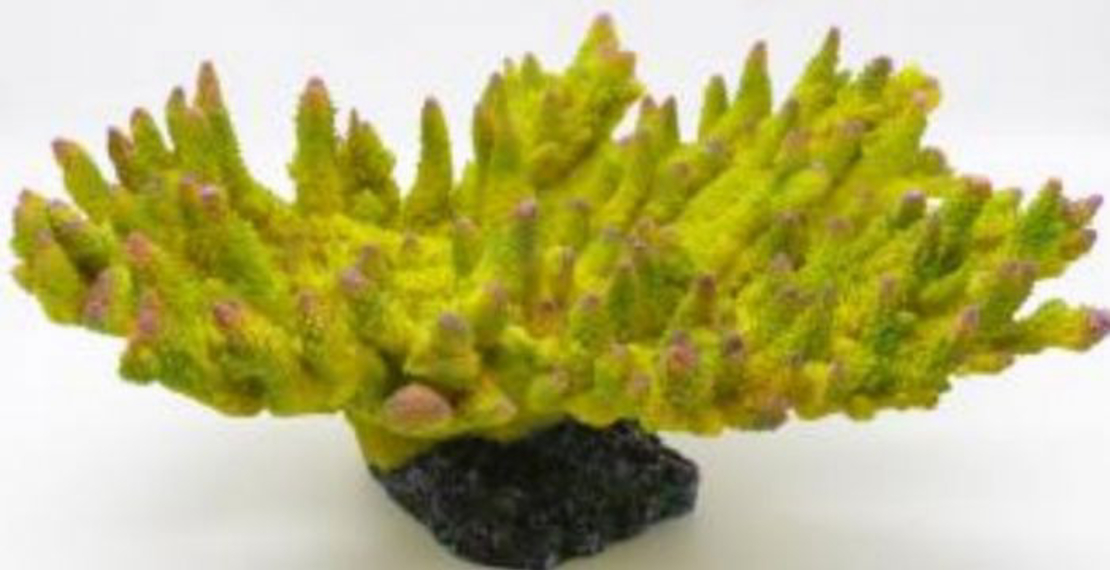 דקורציה אלמוג דגם SH 443 G מלוחים ומתוקים - Coral decoration model SH 443 G for salt and fresh water