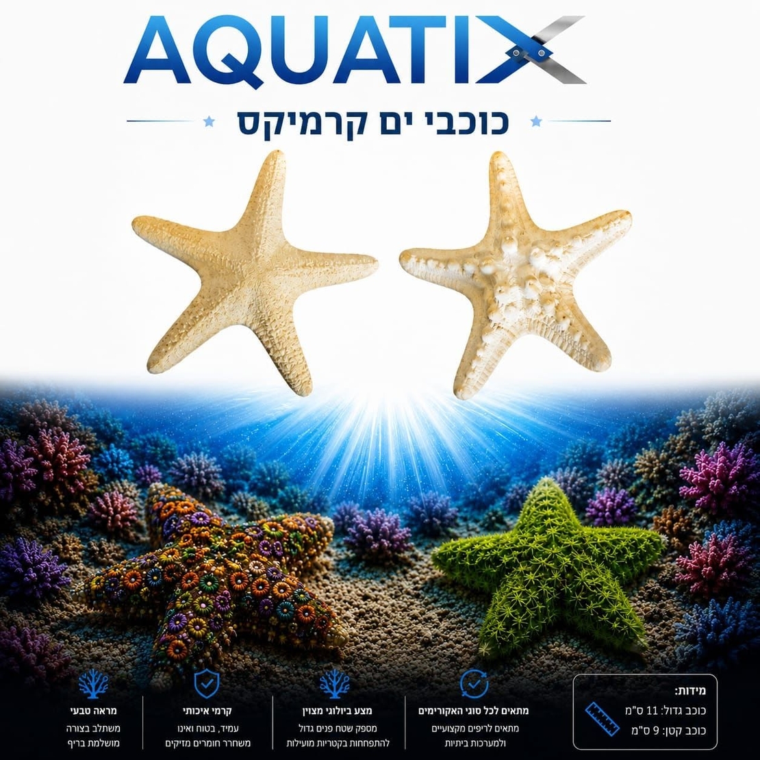 מסלעת קרמיקס זוג כוכבי ים 2 יחידות - Ceramix reef rock  2 Sea Star