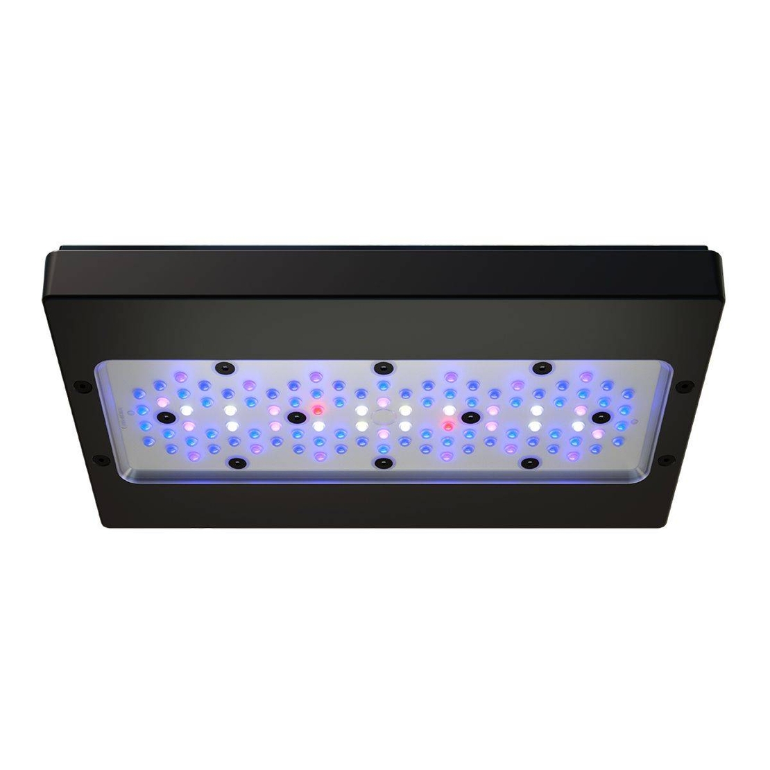 תאורת לד רדיון XR30 G6 BLUE 215W אקוטק מרין - ECOTECH MARINE Radion XR30 G6 BLUE Led lighting
