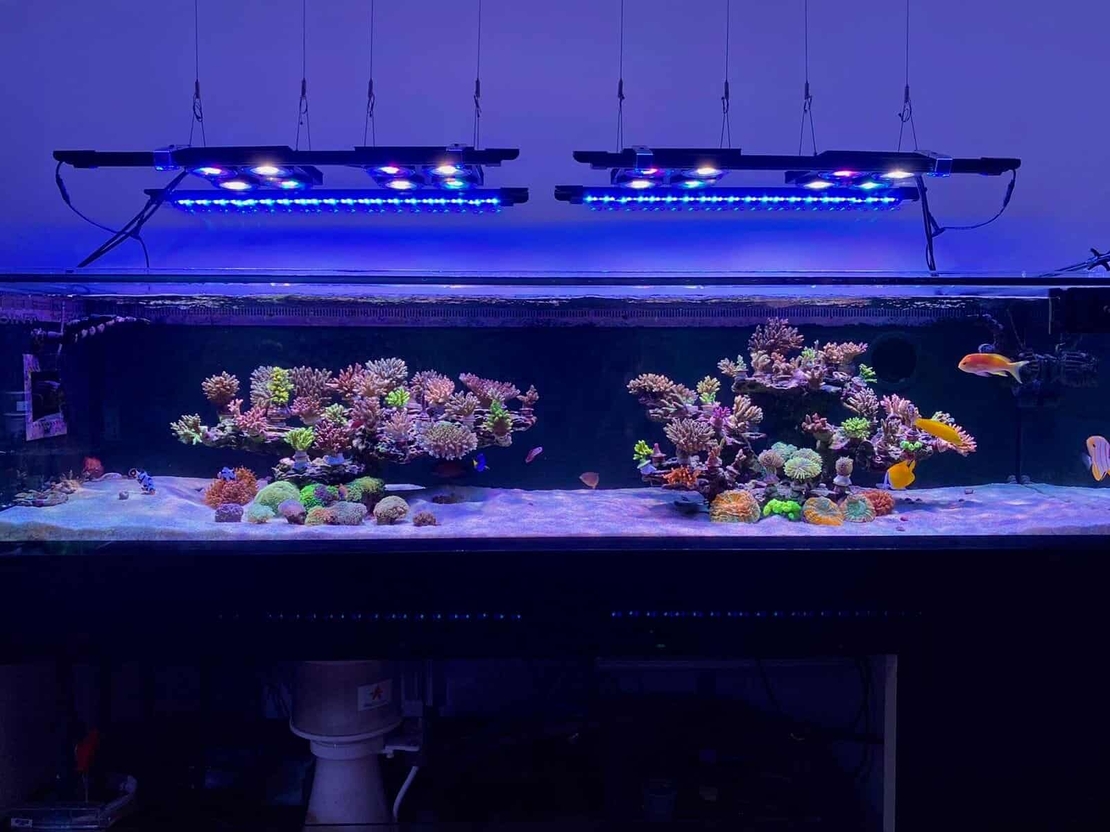 סטריפ תאורה לד לאקווריום ריף אלמוגים 60-180 ס