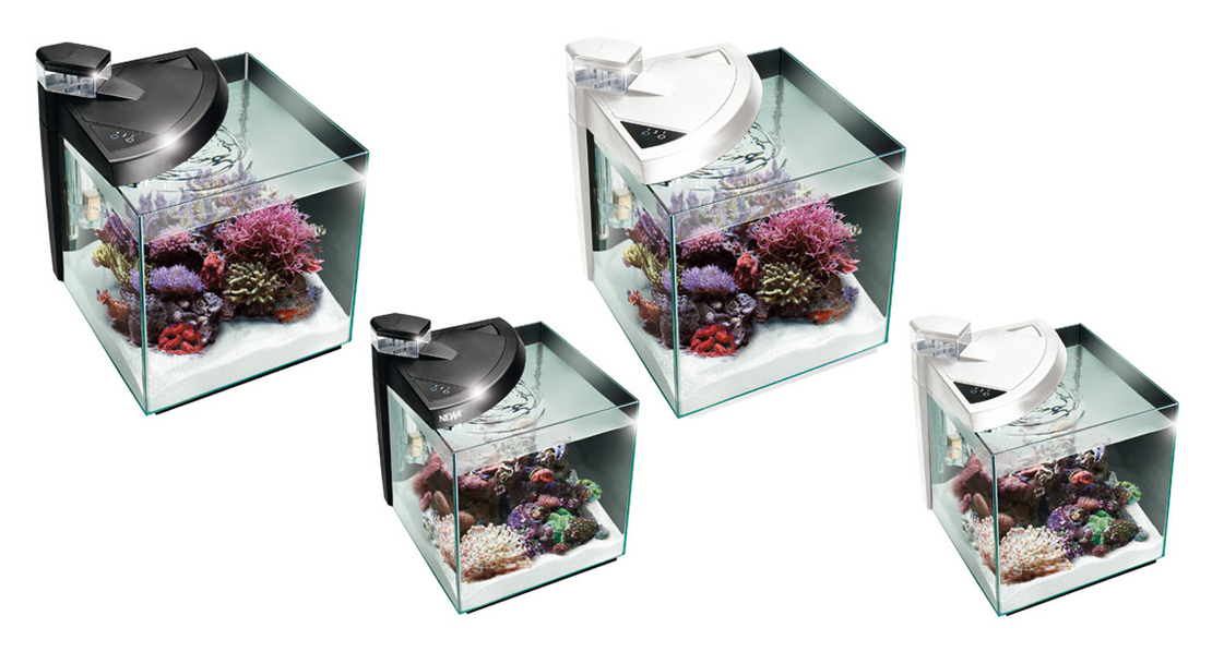 אקווריום נאנו לריף הכל כלול נווה מור 50 ריף - NEWA More Nano Reef Aquarium 50R