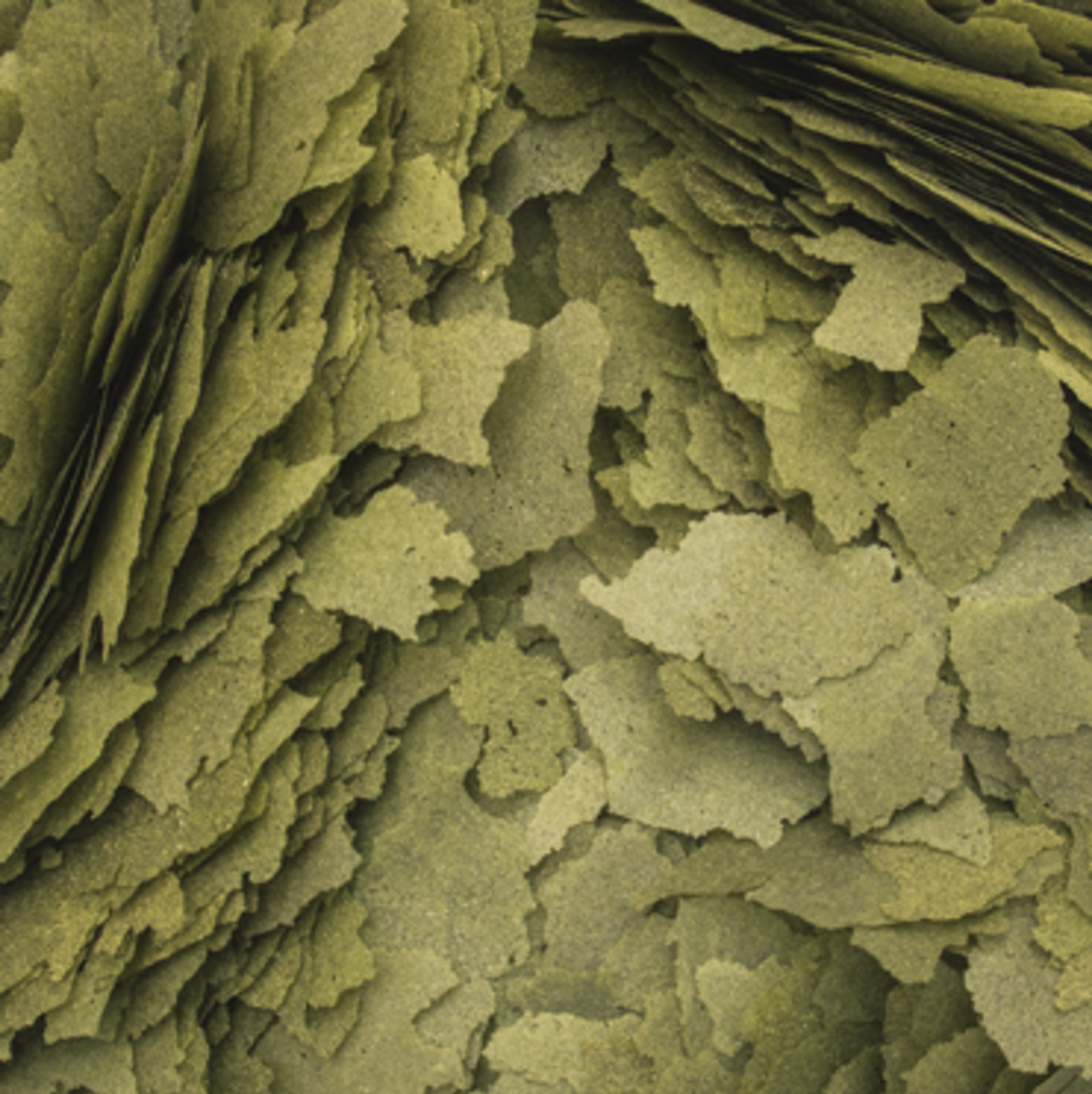 טרופיקל מזון דפים 3 אצות 1000 מ”ל - Tropical 3 Algae Flakes