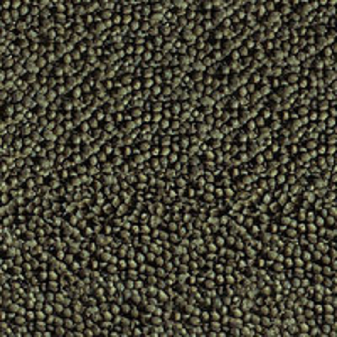 סרה גולדי קולור ספירולינה נייצ'ר 1000 מ”ל - Sera Goldy Color Spirulina Nature 1000 ML