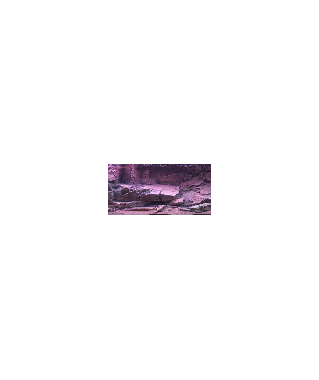 רקע תלת מימד סלעי דגם קיסאר 148X58 אקווריסטיק - Aquarium Rocky 3D background Model Caesar