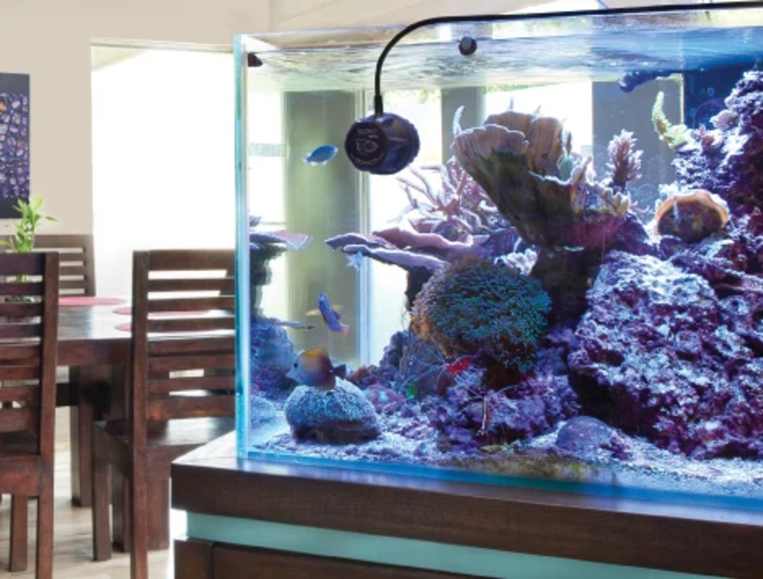 משאבת גלים וורטק MP10 אקוטק מארין עד 9,500 ל/ש -  ECOTECH MARINE VORTECH MP10mQD