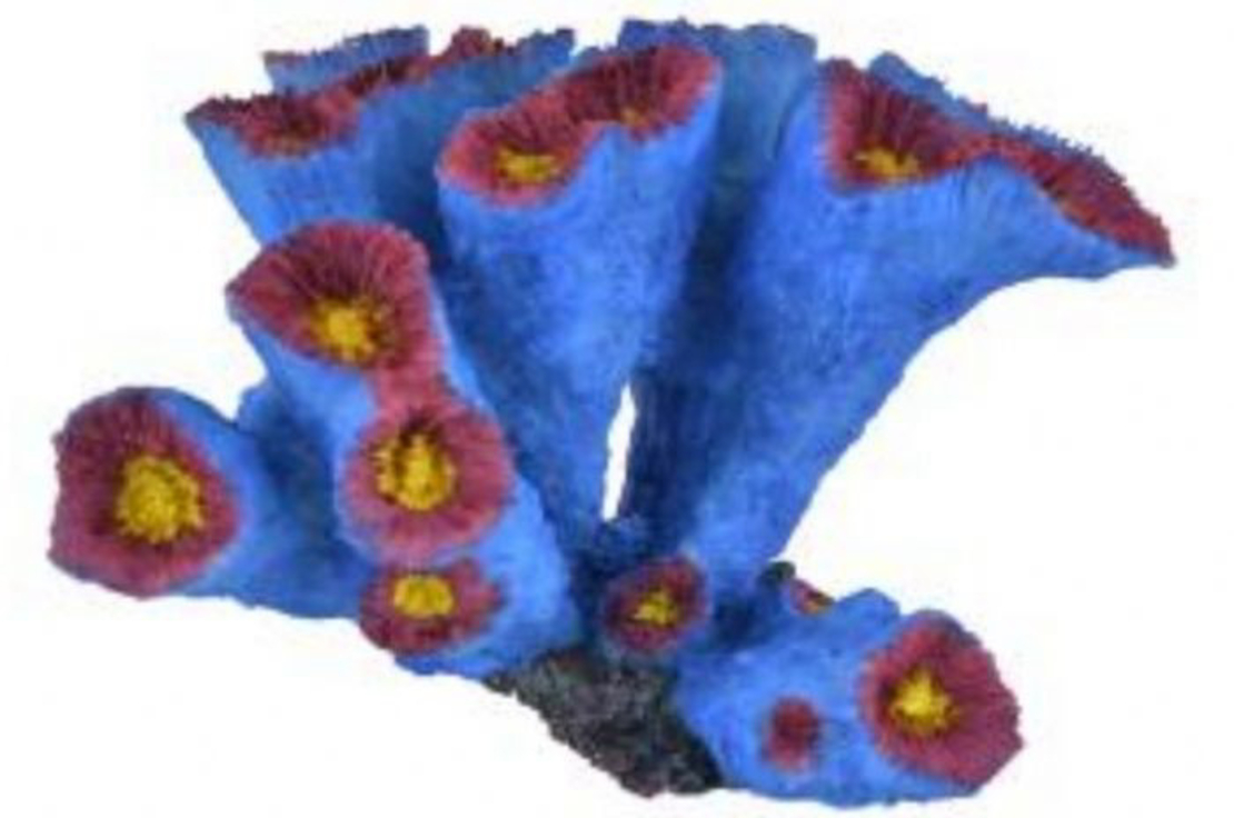 דקורציה אלמוג דגם HCL 037 B למים מלוחים ומתוקים - Coral decoration model HCL 037B for salt and fresh water