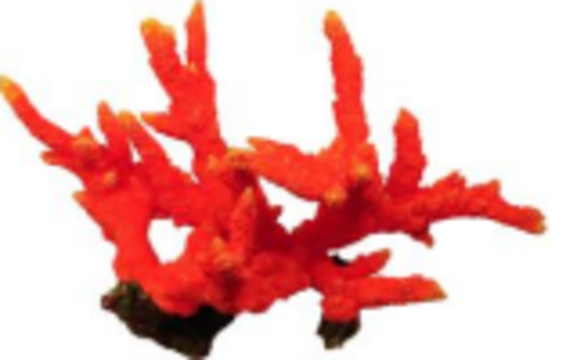 דקורציה אלמוג דגם SH 329 O למים מלוחים ומתוקים - Coral decoration model SH 329 O for salt and fresh water