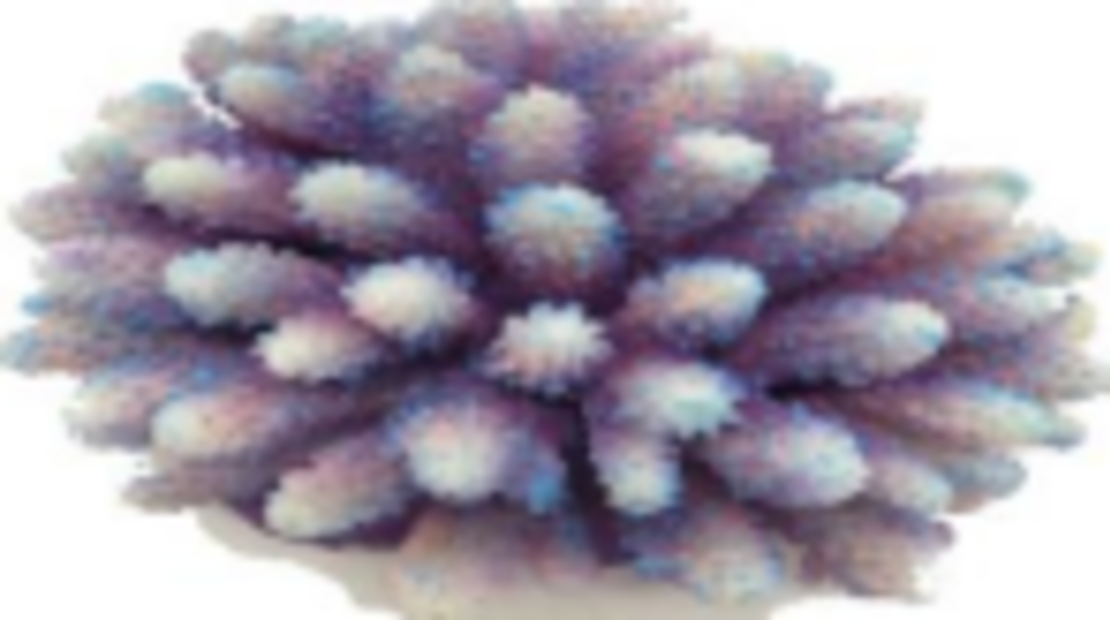 דקורציה אלמוג דגם SH 324 PW למים מלוחים ומתוקים - Coral decoration model SH 324 PW for salt and fresh water