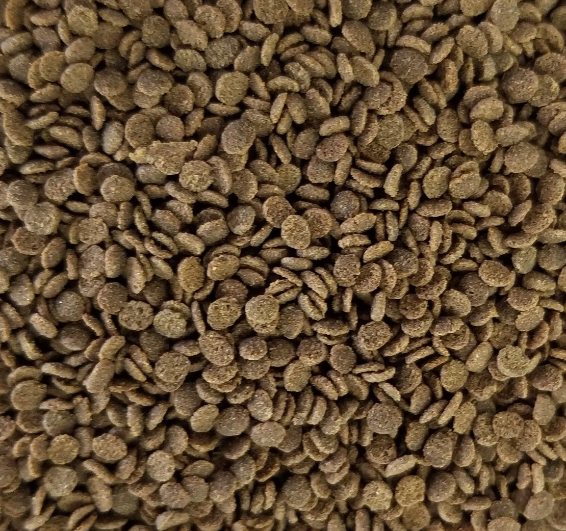 מזון לדגים באג פרו נורת' פין 500 גרם 2 מ