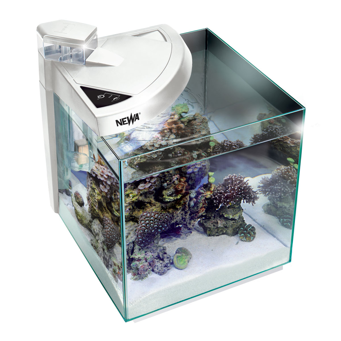 אקווריום נאנו לריף הכל כלול נווה מור 50 ריף - NEWA More Nano Reef Aquarium 50R