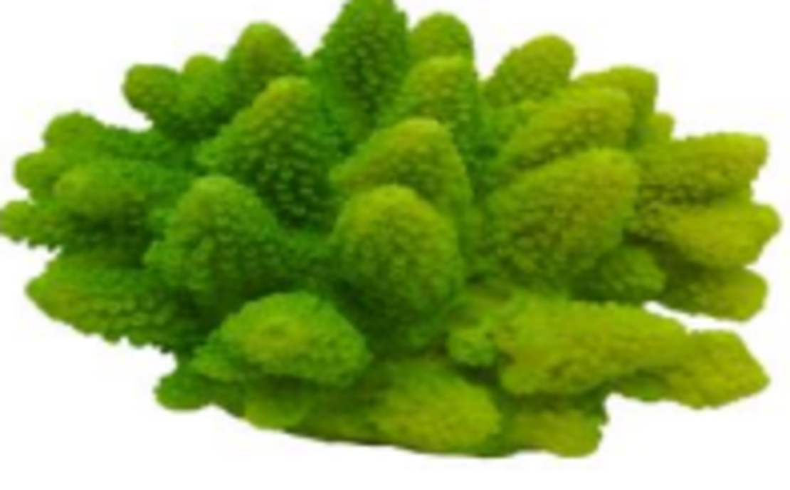 דקורציה אלמוג דגם SH 318 G למים מלוחים ומתוקים - Coral decoration model SH 318 G for salt and fresh water