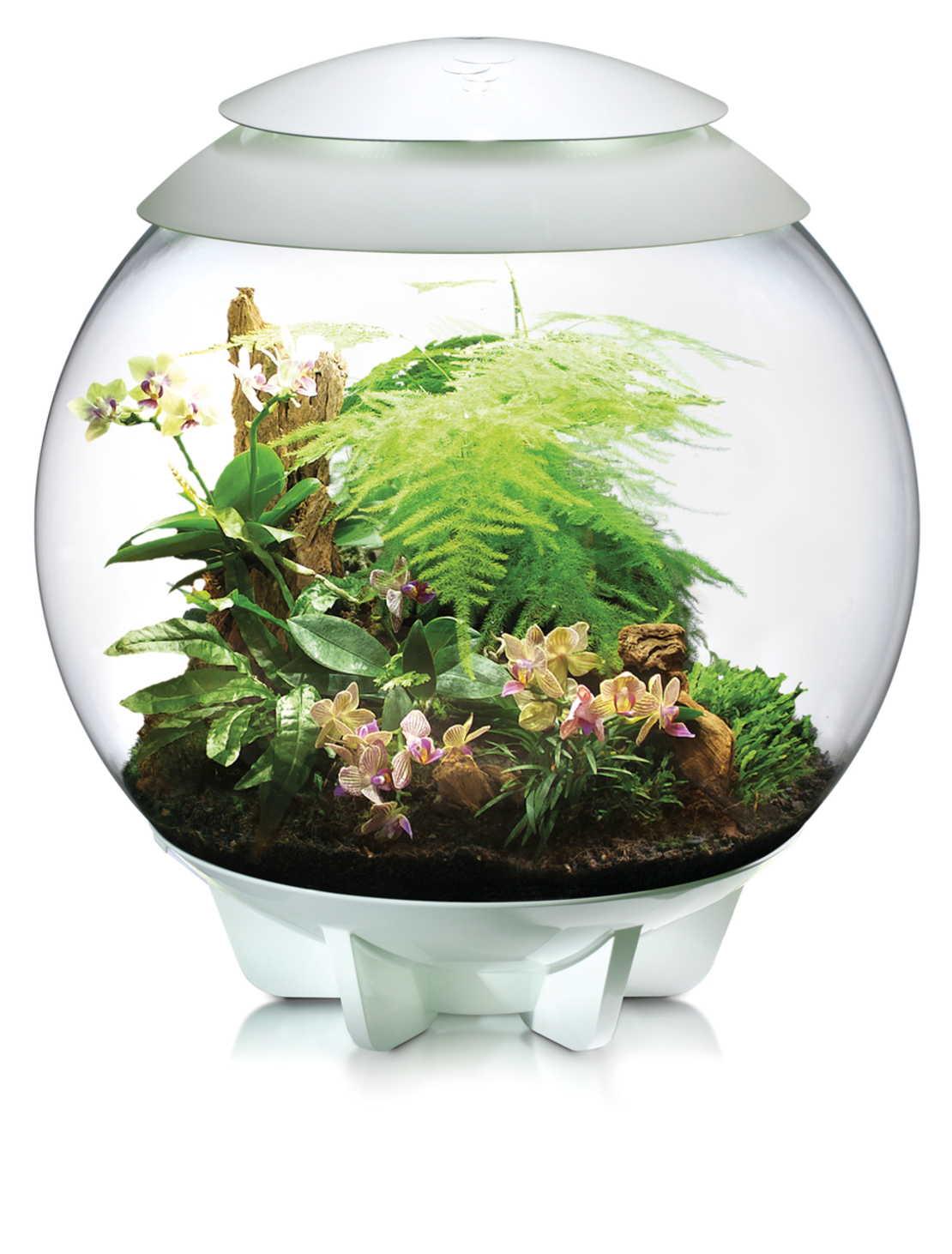 טרריום אואזה ביורב איר 60 לבן - biOrb AIR 60 white