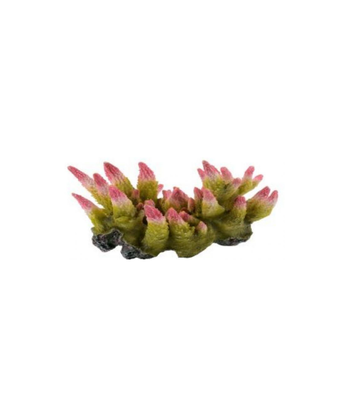 דקורציה אלמוג דגם HCL 183 S למים מלוחים ומתוקים - Coral decoration model HCL 183 S for salt and fresh water