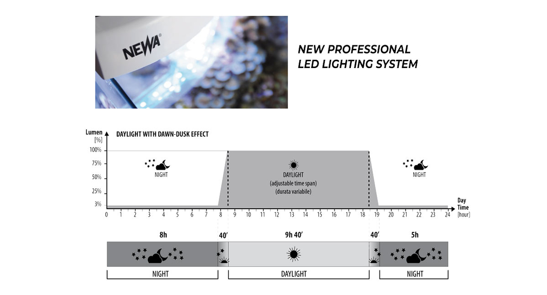 אקווריום נאנו לריף הכל כלול נווה מור 50 ריף - NEWA More Nano Reef Aquarium 50R