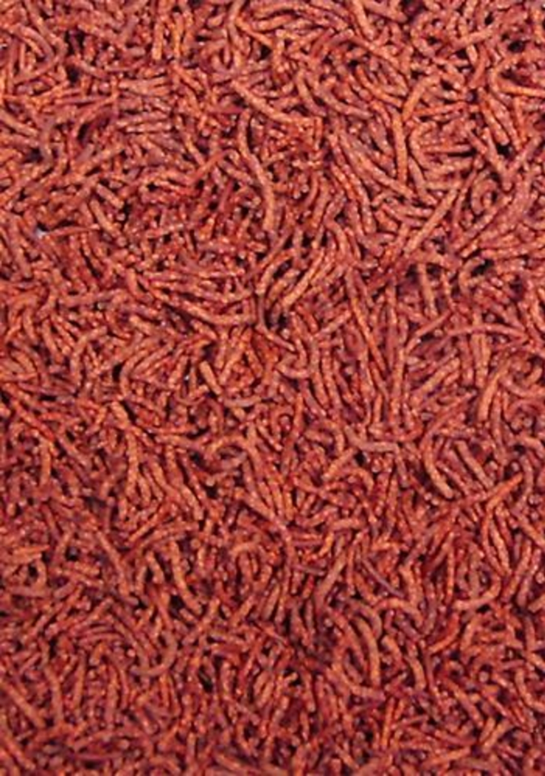 מזון לדיסקוסים אושן נוטרישן 125 גרם - Ocean Nutrition Discus Pellets 125g