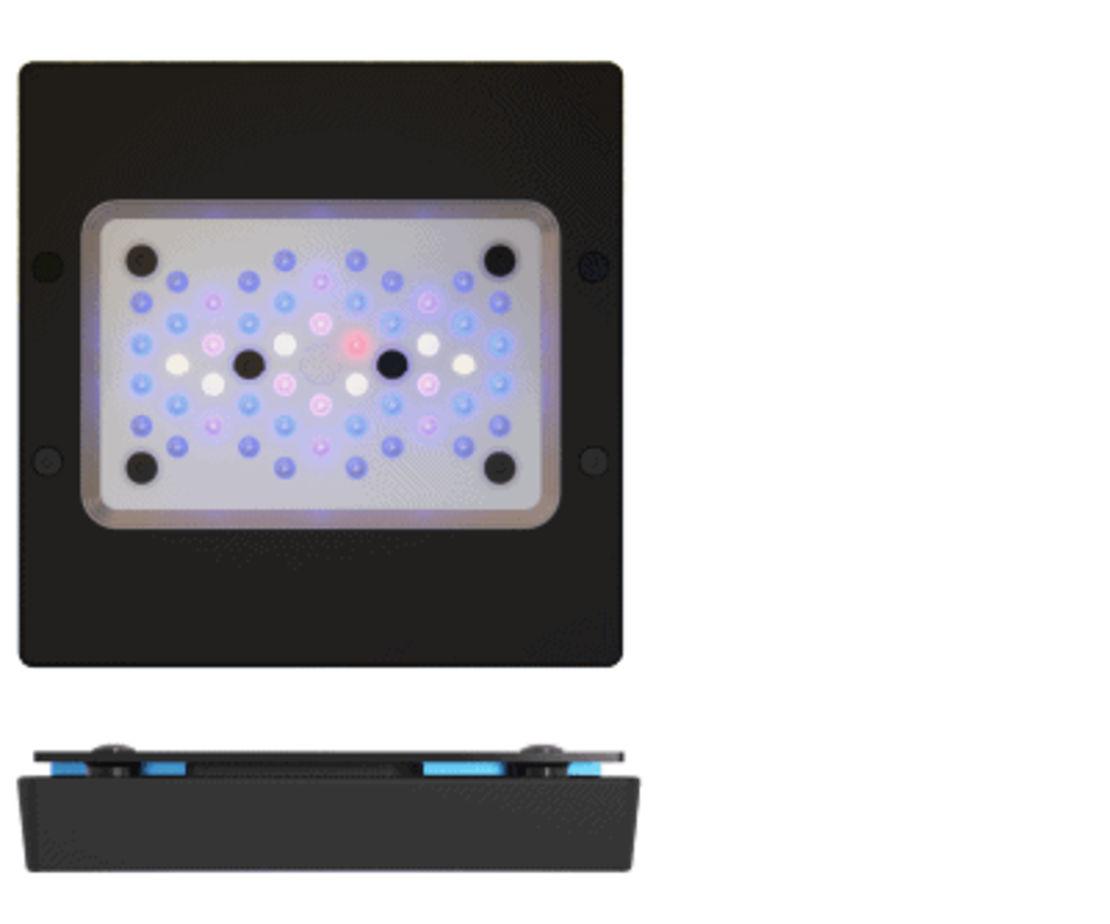 תאורת לד רדיון XR15 G6 BLUE 95W אקוטק מרין - ECOTECH MARINE Radion XR15 G6 BLUE Led lighting