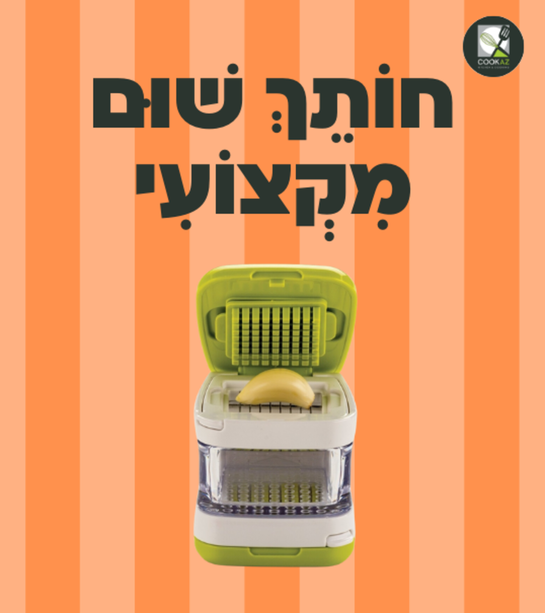 חותך שום מקצועי