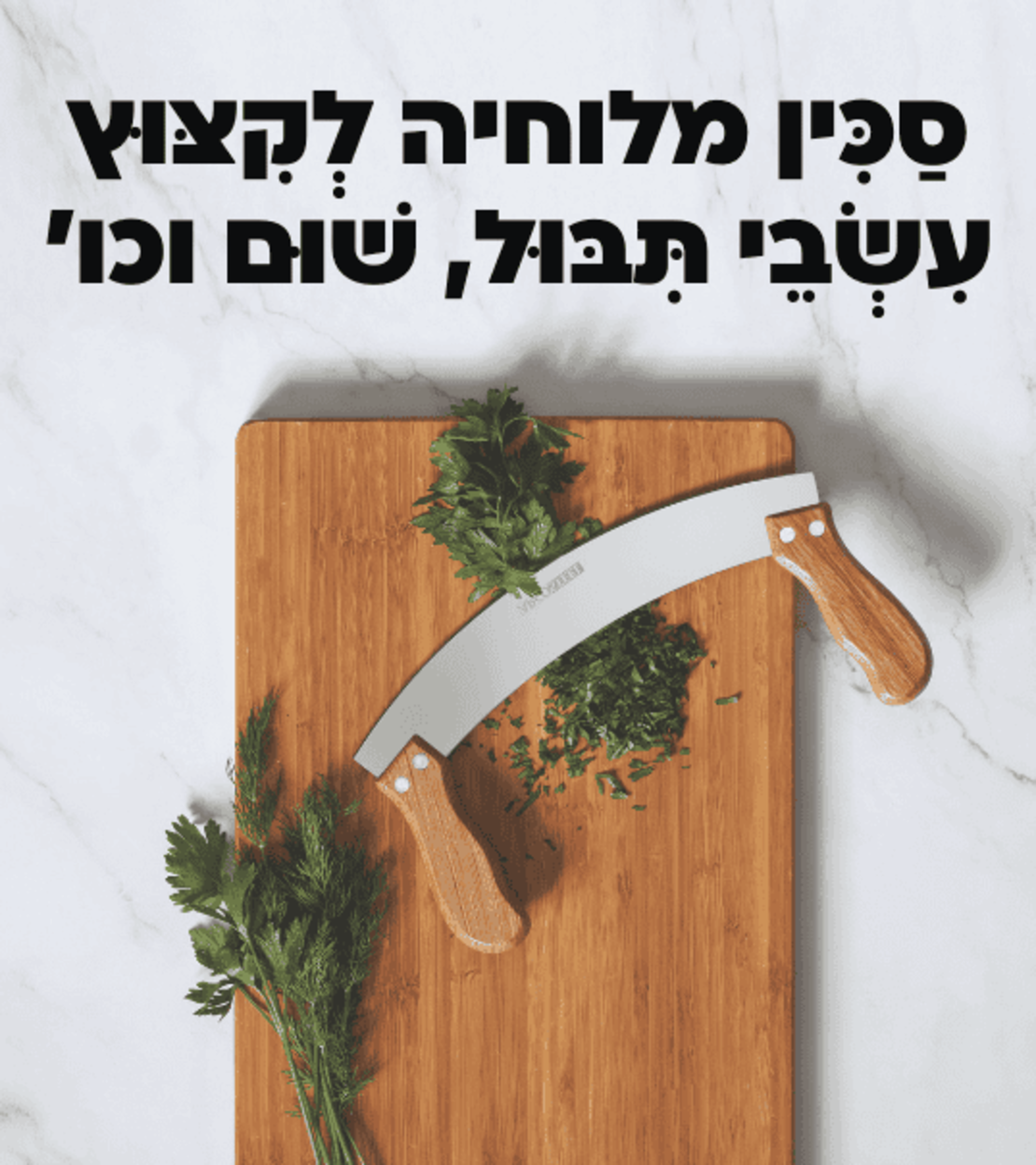 סכין מלוחיה