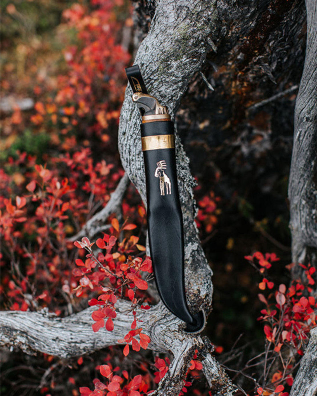 סכין אייל הצפון מרטייני - MARTTIINI MOOSE KNIFE