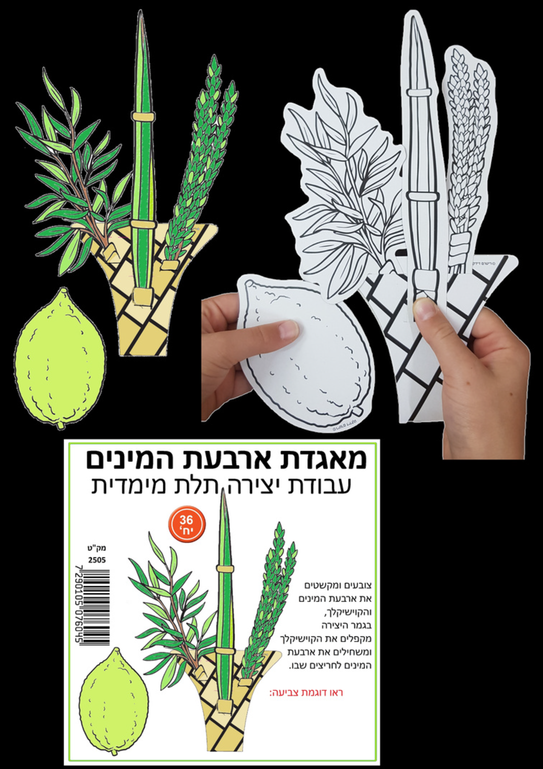 יצירה מאגדת ארבעת המינים 1/36